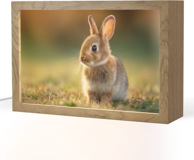 Nachtlampje 30x20 cm - Kinder lampje - Konijntje - Bruin - Gras - Tafellamp kinderkamer - Slaapkamer lamp - Bedlamp kinderen - Kinderlampje stopcontact - Wandlamp babykamer - Nachtlampjes