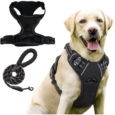 Harnais pour chien, Harnais pour animal de compagnie anti-traction avec 2 clips de laisse, Gilet pour chien réglable avec rembourrage doux, Gilet réfléchissant en Oxford pour animal de compagnie sans étranglement avec poignée de contrôle facile S noir