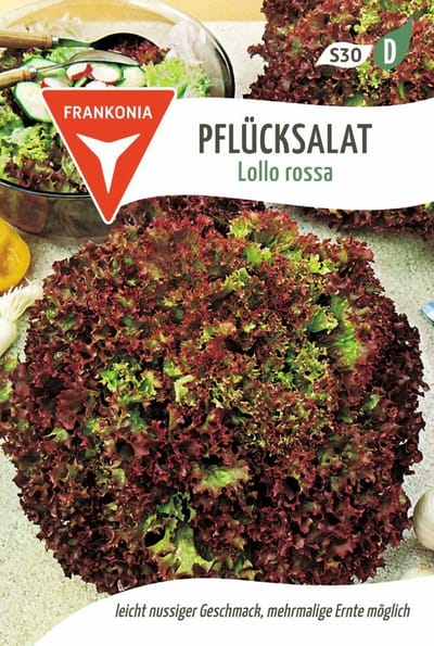 Losbladige sla, Lollo Rossa - groentezaden, slazaden, zaden