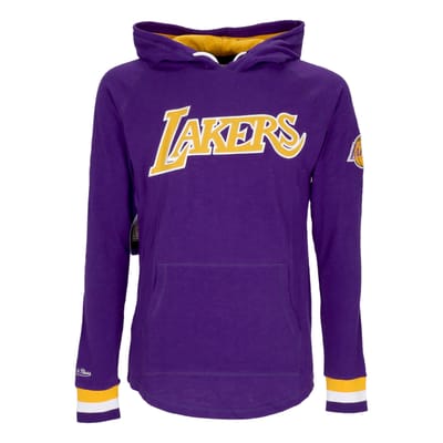 Heren T-shirt met lange mouwen Nba Legendary Slub L/s hoodie Loslak paars