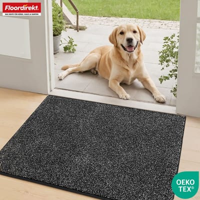 FLOORDIREKT Schoonloopmat Nasa - Zachte & Waterabsorberende Deurmat - Antraciet 60 x 90 cm - Voor Binnen & Buiten - Antislip Onderzijde - Verkrijgbaar in 5 Kleuren & 8 Maten