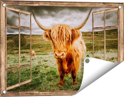 Gards Tuinposter Doorkijk Schotse Hooglanders in de Weide met Wolken - 60x40 cm - Tuindoek - Tuindecoratie - Wanddecoratie buiten - Tuinschilderij