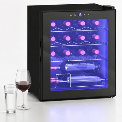ECTEATOY® Wijnklimaatkast - Mini Koelkast -16 Flessen 42L - Minibar met Glazen Deur & Instelbare Temperatuur (5-18°C) - Zwart