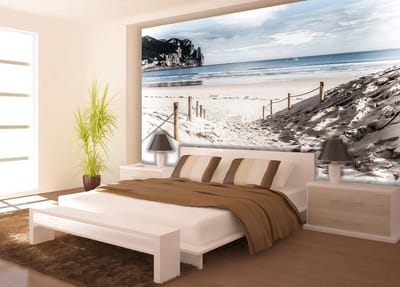 Beach Path Nature Sea SandCliff Photo Wallcovering