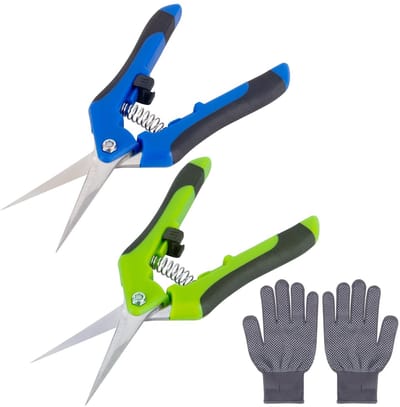 Solidchoice - 2 stuks snoeischaar, rozenplantenschaar, 170 mm, roestvrij staal, oogst- en bloemenschaar, lees- en takkenschaar, voor tuin, groenten, fruit en cannabis trimmen