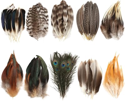 Natuurlijke Veren Decoraties voor Creatieve Projecten, 92 Stuks in 10 Stijlen voor Hoeden, Maskers en Carnaval Versieringen