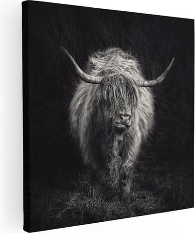 Artaza Canvas Schilderij Schotse Hooglander - 80x80 cm - Wanddecoratie Woonkamer - Muurdecoratie Dieren - Zwart Wit