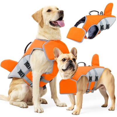 Gilet de sauvetage de natation imperméable Ripstop pour chien, Gilet flottant réfléchissant réglable pour animal de compagnie, Design queue de requin pour plage, bateau, piscine, petit moi (Gold,M) or
