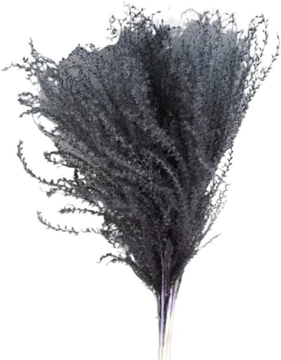 Droogbloemen Boeket - Gedroogde Pluimen Riet - Sfeervolle Decoratie - Natuurlijke Textuur - 45 cm Lengte - Zwart