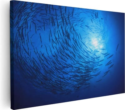 Artaza Canvas Schilderij Zee - 30x20 cm - Klein - Wanddecoratie Vissen - Muurdecoratie Onderwaterwereld - Kamer Accessoires