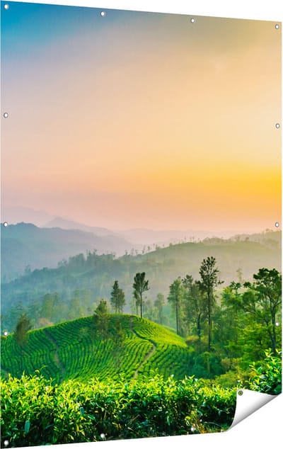 Gards Tuinposter Zonsondergang op een Thee Plantage - 120x160 cm - Tuindoek - Tuindecoratie - Wanddecoratie buiten - Tuinschilderij