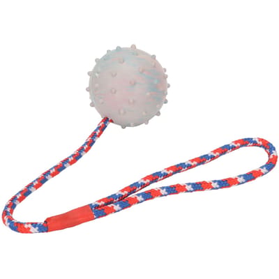 Balle à mâcher en caoutchouc pour chien avec corde Jouet balle d'entraînement pour chiot faisant ses dents pour chiens moyens et petits gray