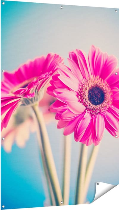 Gards Tuinposter Twee Roze Anjers - Bloemen - 100x150 cm - Tuindoek - Tuindecoratie - Wanddecoratie buiten - Tuinschilderij