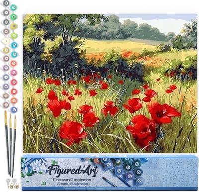 Figured'Art Schilderen op Nummer Volwassenen canvas Veld met klaprozen op het platteland - Handwerk acrylverf Kit DIY Compleet - 40x50cm zonder frame