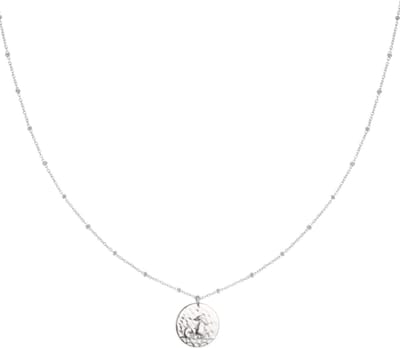 Yehwang - Ketting Sterrenbeeld Steenbok - Constellation - Capricorn - Stainless Steel