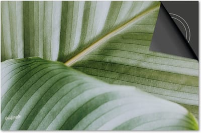 Inductie beschermer 60x60 - afdekplaat inductie mat - Dietrix Kookplaat beschermer - Exclusief - Leaves - 9 Lichtgroen blad van dichtbij