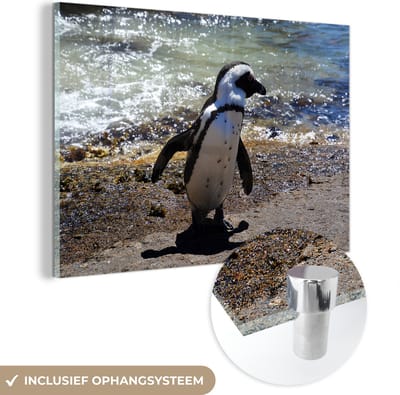 ® Glasschilderij 180x120 cm - Schilderij acrylglas - Humboldt-pinguïn kronkelt over het strand in Peru - Foto op glas - Muurdecoratie woonkamer - Wanddecoratie slaapkamer - Schilderijen