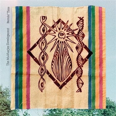 The Mukherjee Development - Burnin' Time (LP)