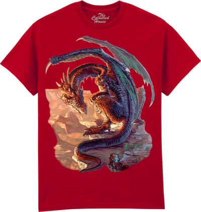 Draak Bravery Misplaced The Coloured House T-shirt XXL