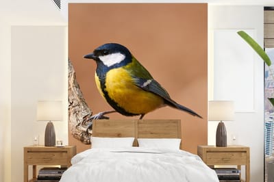 Behang - Fotobehang Vogel - Koolmees - Takken - Breedte 165 cm x hoogte 220 cm
