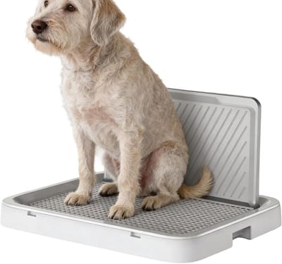 Hondenpotje met Paal - Hondentoilet Zindelijkheid - Hond Zindelijk Maken - Spatwaterdicht Lekvrij Ontwerp