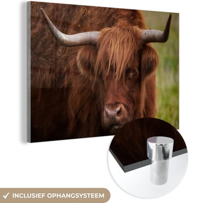 MuchoWow® Glasschilderij 120x80 cm - Schilderij acrylglas - Schotse Hooglander - Oranje - Dieren - Foto op glas - Schilderijen