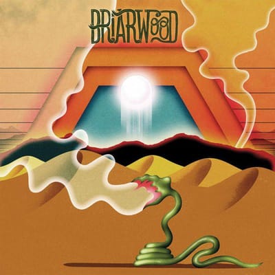 CD WOODEN WAND & THE BRIARWOOD VIRGINS - Briarwood FIRECD217 Fire Records 2011 VK ObiRock Gebruikt black
