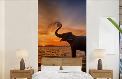 Behang - Fotobehang Olifant - Zee - Dieren - Zonsondergang - Oranje - Breedte 120 cm x hoogte 240 cm