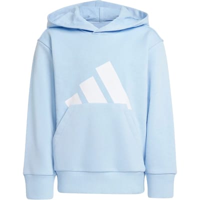Adidas Essentials Big Logo Hoodie Blauw 6-7 Years Kinderen