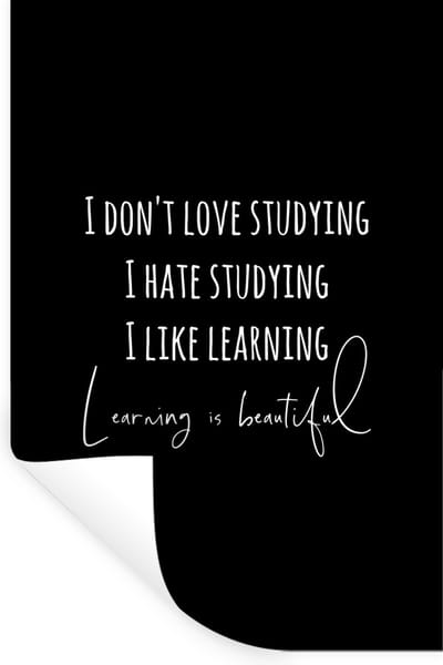 Muurstickers - Sticker Folie - Quote - Leren - Studeren - 20x30 cm - Plakfolie - Muurstickers Kinderkamer - Zelfklevend Behang - Zelfklevend behangpapier - Stickerfolie