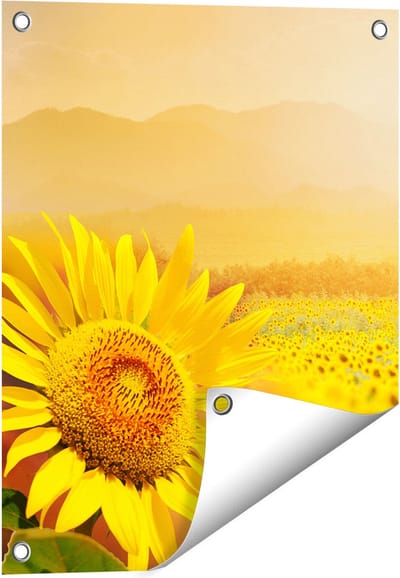 Gards Tuinposter Zonnebloemen Veld met Zonopkomst - 40x50 cm - Tuindoek - Tuindecoratie - Wanddecoratie buiten - Tuinschilderij