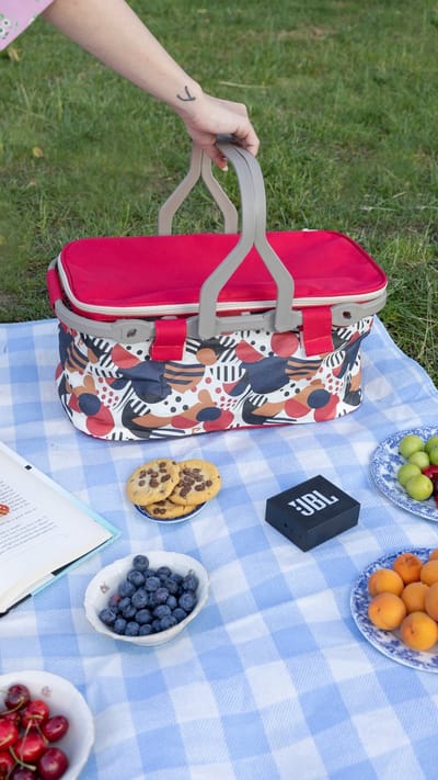 Geïsoleerde Koeltas| Lunchtas| Thermotas| 22 Liter| Picknicktas| Isolatie| Kamperen