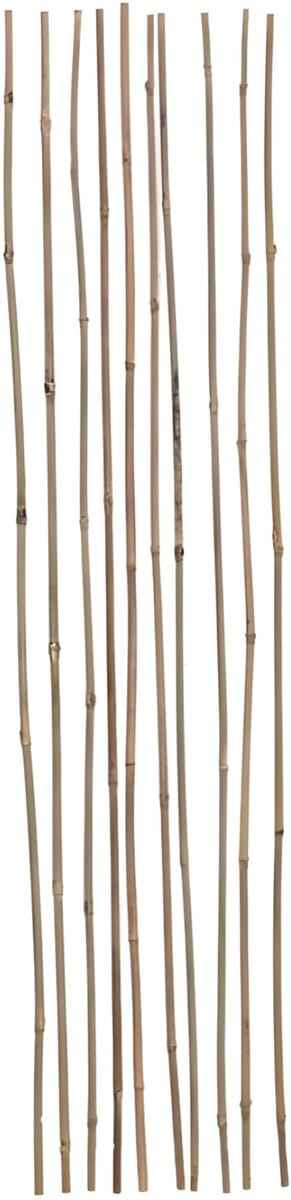 Gerimport Plantenstokken - 10x stuks - bamboe - 60 cm - plantensteun / tonkinstokken