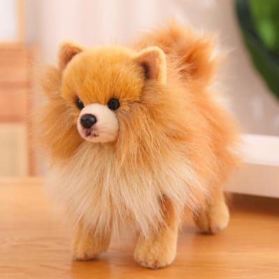 Peluche Poméranien Debout Animaux en Peluche Simulation Réaliste Chien Poméranien Animal de Compagnie Moelleux Poupée Poupée Chiot en Peluche