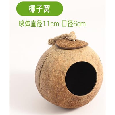 1 pièce Vignes et Plantes pour Reptiles avec Échelle en Coque de Noix de Coco Cachette Décoration pour Crabe Hermite Dragon Barbu Lézard Caméléon Tortue Serpent