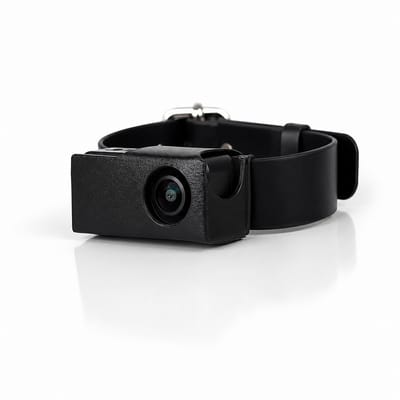 HOB X6 PetCam - Halsband Kat met Camera - Kattenhalsband - Halsband met camera - Halsbandcamera - Huisdiercamera - Halsband Hond