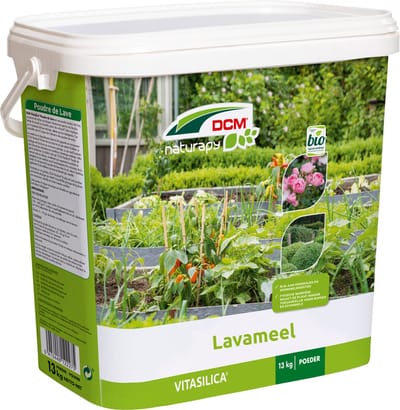 DCM VITASILICA 13KG