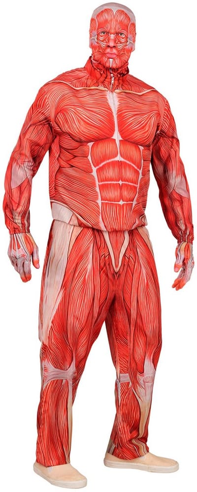 WIDMANN - Volledig anatomisch volwassen kostuum - M