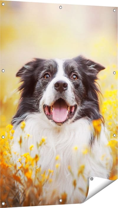 Gards Tuinposter Blije Hond tussen de Bloemen - 80x120 cm - Tuindoek - Tuindecoratie - Wanddecoratie buiten - Tuinschilderij
