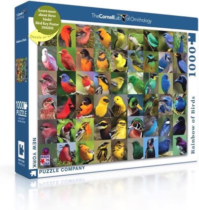 New York Puzzle Company - Cornell Lab Rainbow of Birds - 1000 stukjes puzzel