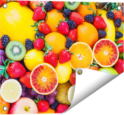 Gards Tuinposter Kleurrijke Fruit Achtergrond - 50x40 cm - Tuindoek - Tuindecoratie - Wanddecoratie buiten - Tuinschilderij