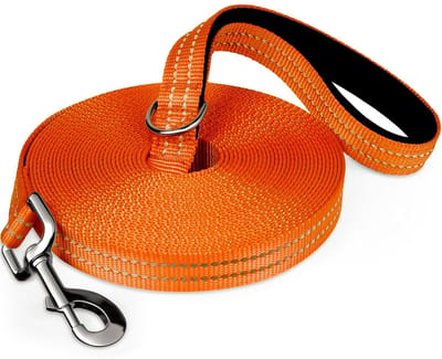 Trainingslijn voor honden, 5 m/10 m/18 m, groot, nylon, zacht, reflecterend, met elastieken voor grote en kleine honden, voor training, kamperen, wandelen, oranje