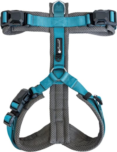 Petlando Magnetech Y-Hondentuig Comfort Antraciet/Petrol XL
