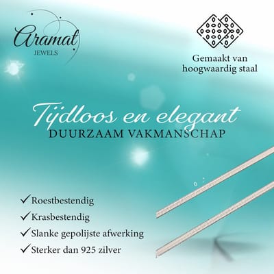 Aramat Jewels | Halskettingen | Platte Slangenketting Zilverkleurig Staal – Elegante Snake Chain RVS | 2mm / 55cm |55cm | | Staal | Volwassenen | Verkleurd niet