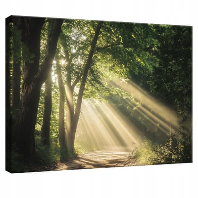 WALLARENA - Canvas schilderij - 100x70 cm - afbeelding van een bos met bomen voor slaapkamer, woonkamer en keuken