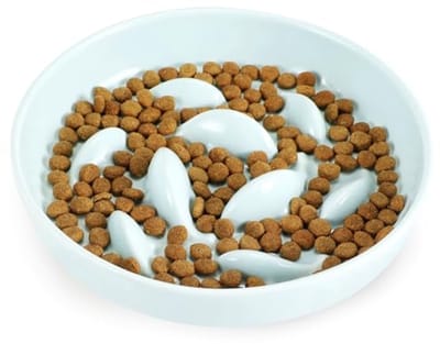 Langzaam Voederen Kattenkom Keramiek voor Nat- en Droogvoer - Morsbestendige Slow Feeder Kom voor Katten en Honden