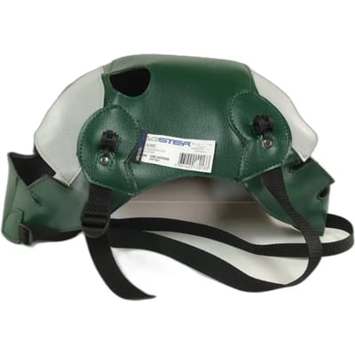 Motorfiets tankbeschermer Bagster thunderbird 900
