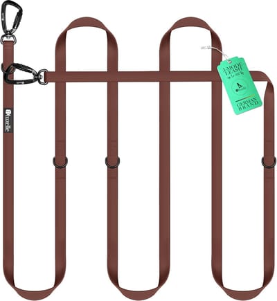 Waterdichte Verstelbare Hondenriem voor 2 Honden - 3m Handsfree Met 360° Aluminium Karabijnhaken