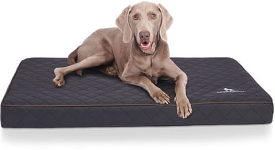 Knuffelwuff orthopedische hondenmat Juna van laser-gewatteerd kunstleer XXL 110x66cm zwart