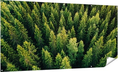 Gards Tuinposter Bos met Bomen vanaf Boven - 200x100 cm - Tuindoek - Tuindecoratie - Wanddecoratie buiten - Tuinschilderij